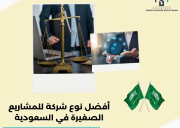 أفضل نوع شركة للمشاريع الصغيرة في السعودية