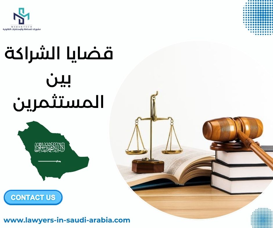 قضايا الشراكة بين المستثمرين