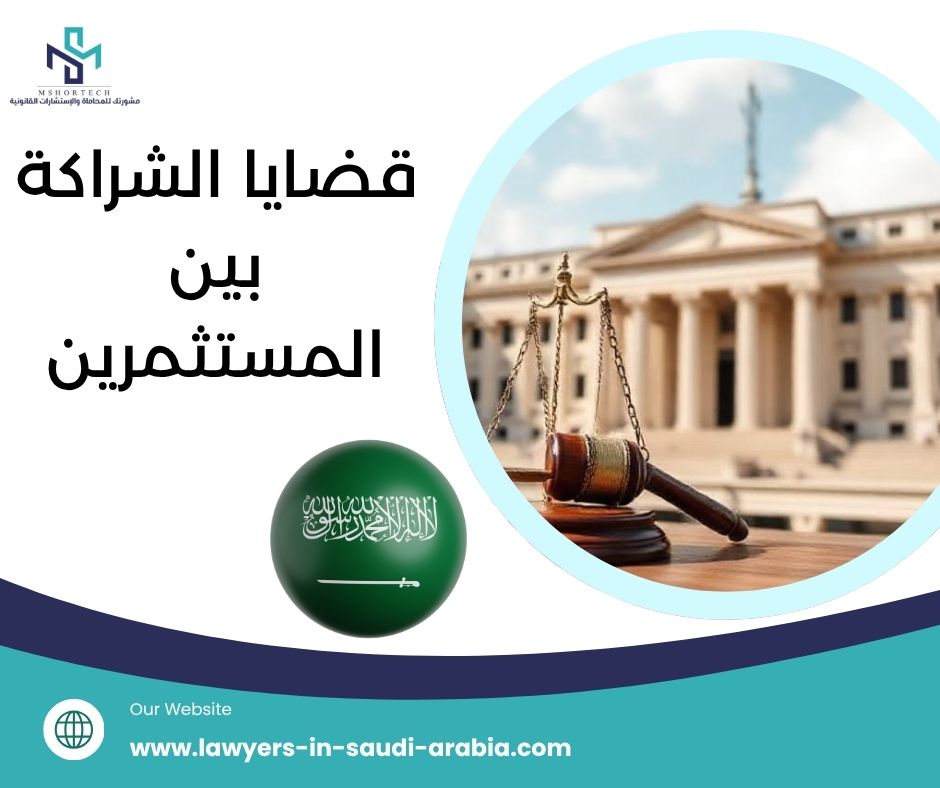 قضايا الشراكة بين المستثمرين